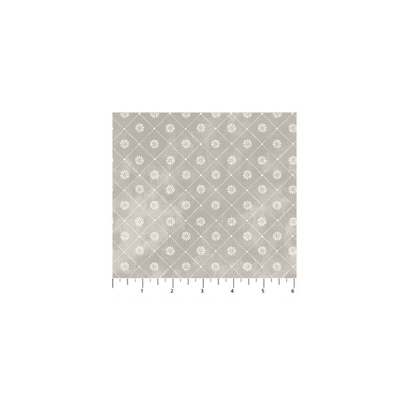 Memories, Lattice Gray